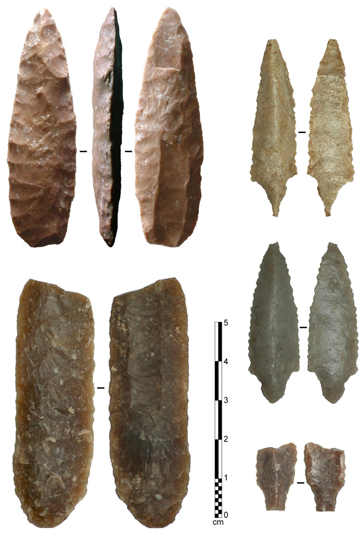 Fluted points from Manayzah