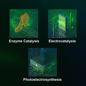 Catalysis