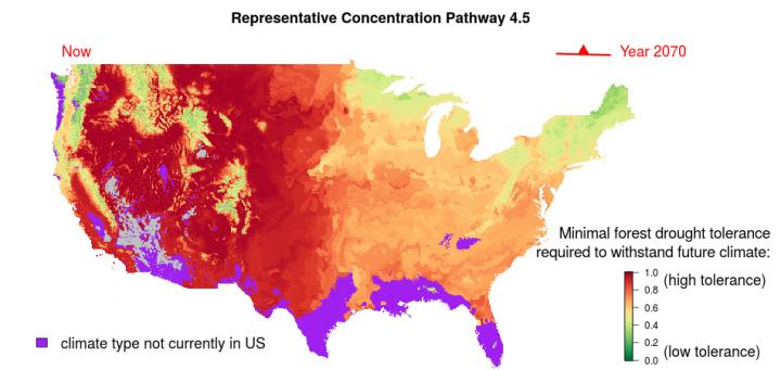 Prediction Drought Tolerance, 2070