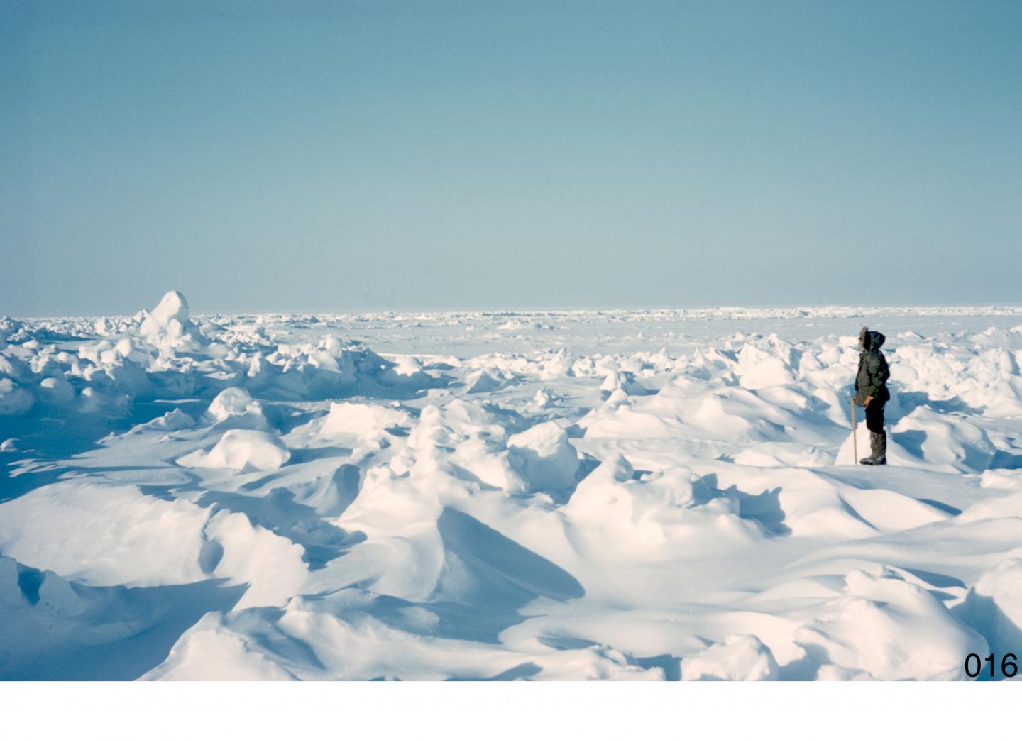 Sea Ice Thickness Distribution