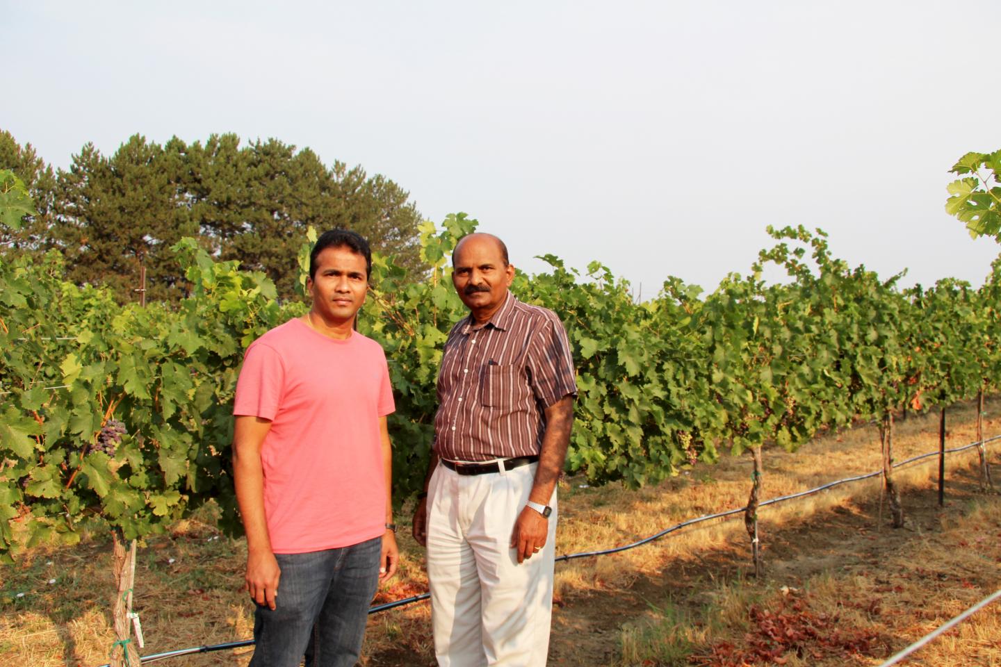 Sridhar Jarugula and Naidu Rayapati