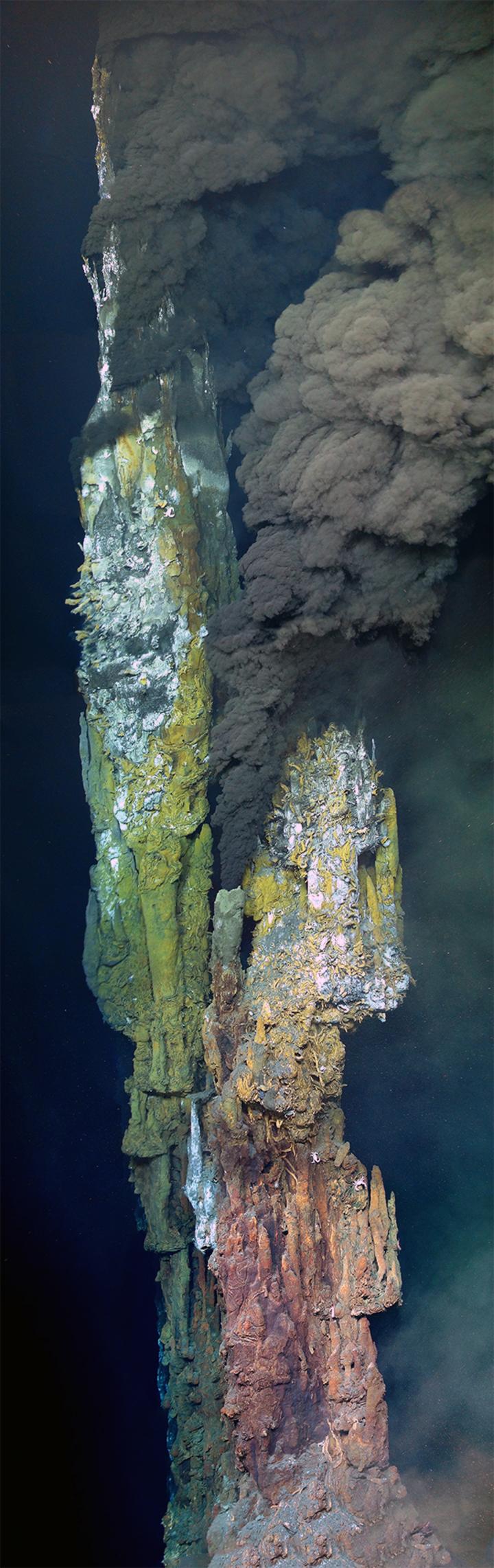 Hydrothermal Vent