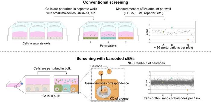 Conventional vs. barcode screening