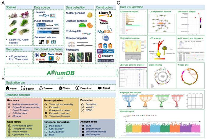 Overview of AlliumDB.