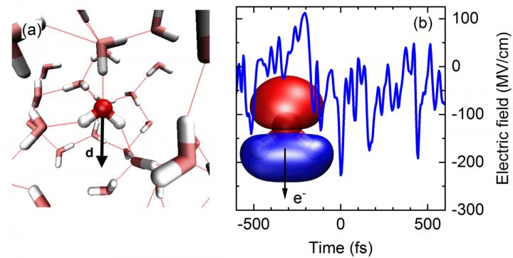 Fig. 1 (a) Snapshot of the arrangement of water molecules in the liquid