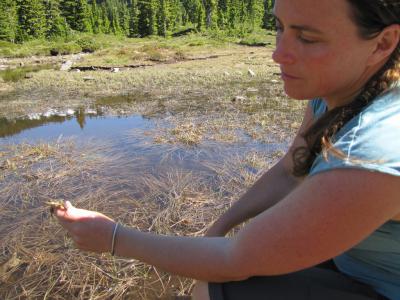 Maureen Ryan, Simon Fraser University