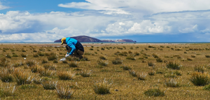 Field work on the Tibetan Plateau