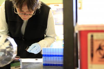 Lori Stevens, University of Vermont