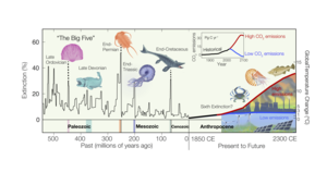 Big Five extinction timeline