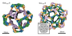 Cryo-EM analysis of designed de novo protein nanocages