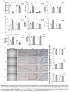 Fig. 2. Analysis of brain function, neurotransmitter level, and Nissl staining of hippocampus after rat hindlimb unloading and treated with hydrogen or not. The result of passive avoidance in SDPAT was statistically shown in (A) and (B). (A) Total duratio