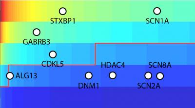 Severe Childhood Epilepsy Gene Mutations