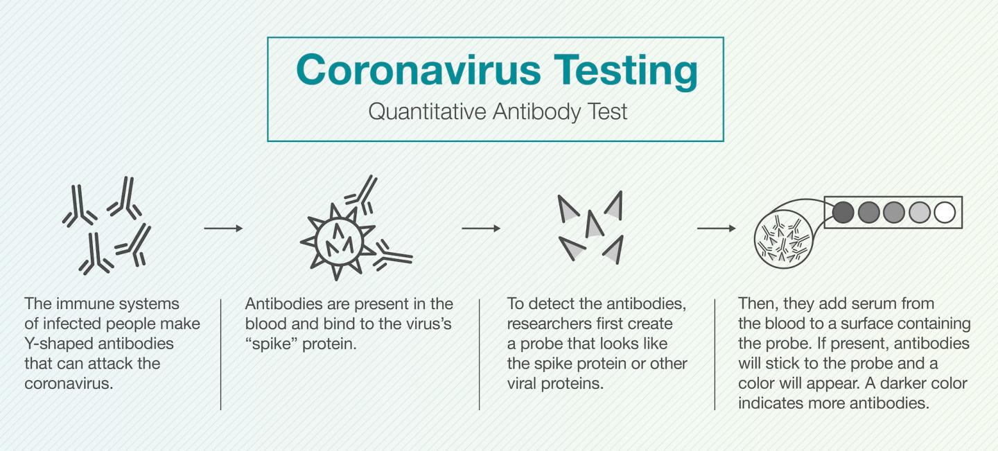 Quantitative Antibody Test