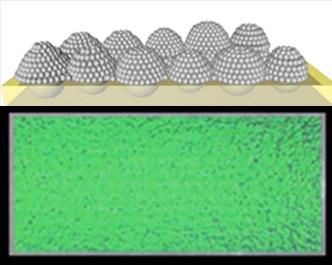 Copying Bug Eyes to Brighten Signs, Clothing