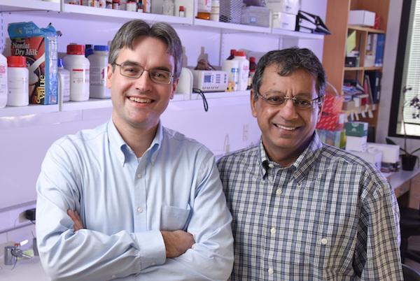 Dr. Ralf Kittler and  Dr. Robert Bachoo, UT Southwestern Medical Center 