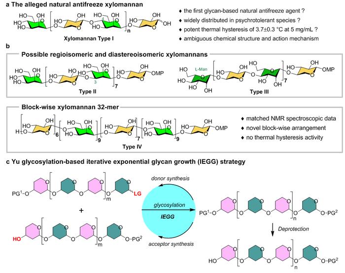 Four types of xylomannan glycans and the general synthetic strategy