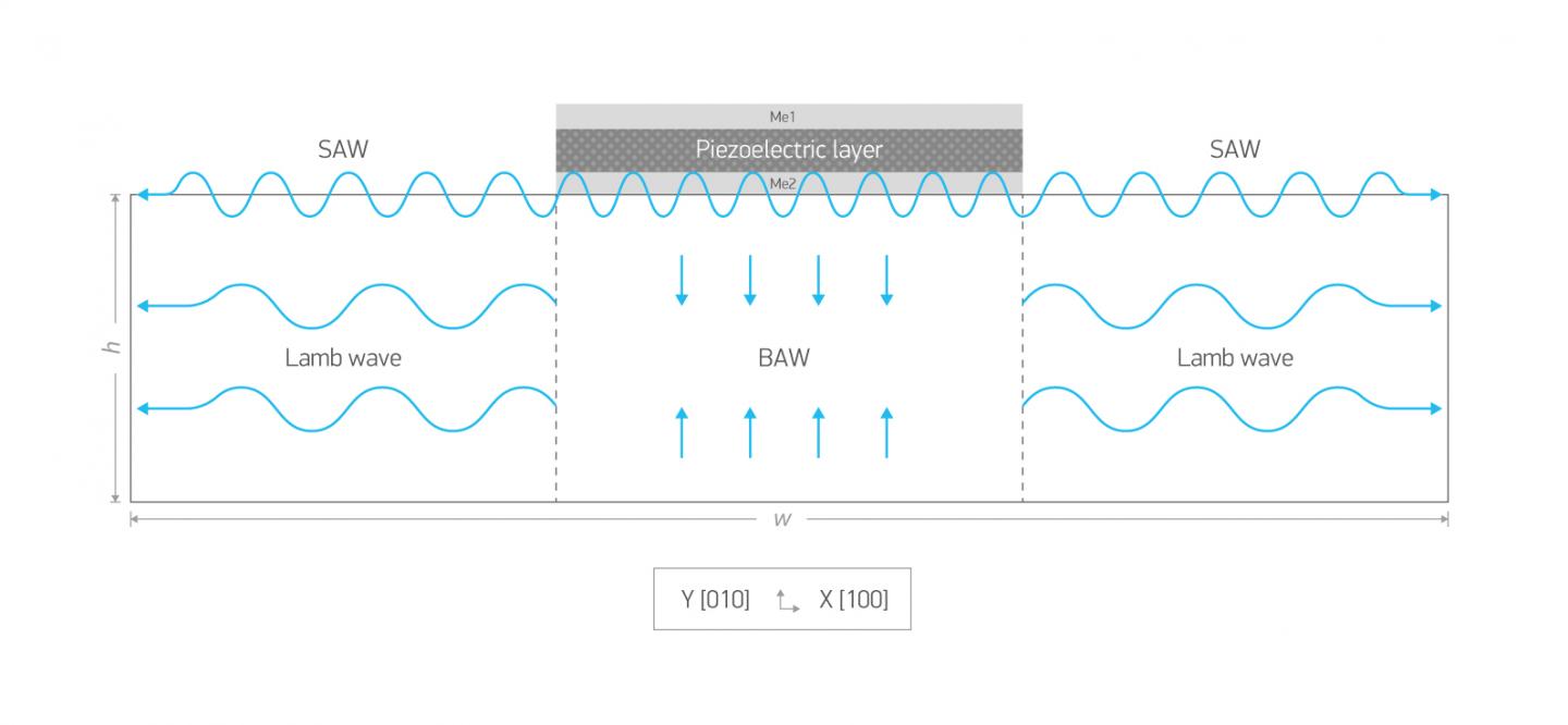 Schematic view of a typical diamond detector.