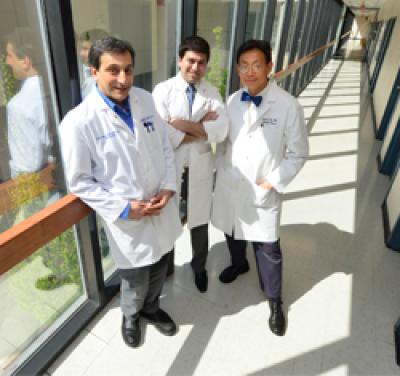 Enzyme Helps Stem Cells Improve Recovery from Limb Injuries