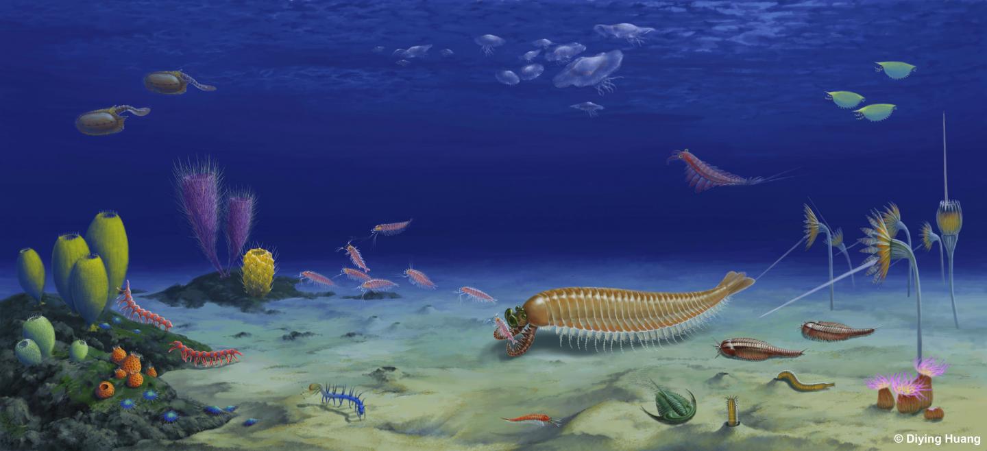 Ecological Reconstruction of <i>Kylinxia</i>, Landscape Version