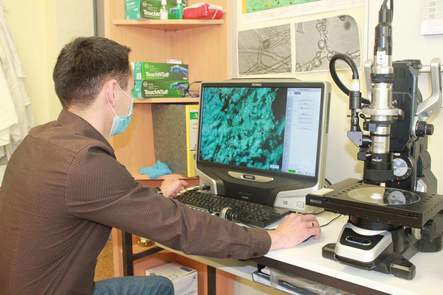 Structure of the Atacamite Spongin