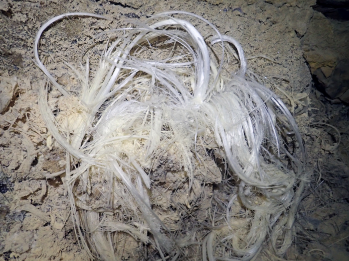 Large mirabilite crystals