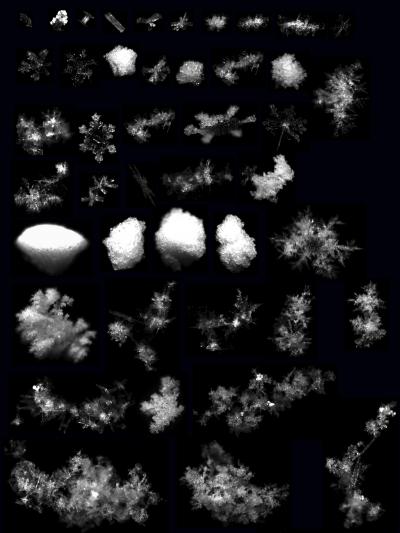 Snowflake Collection