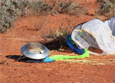 Earth-Bound Meteorites Born From Stony Asteroids (1 of 8)