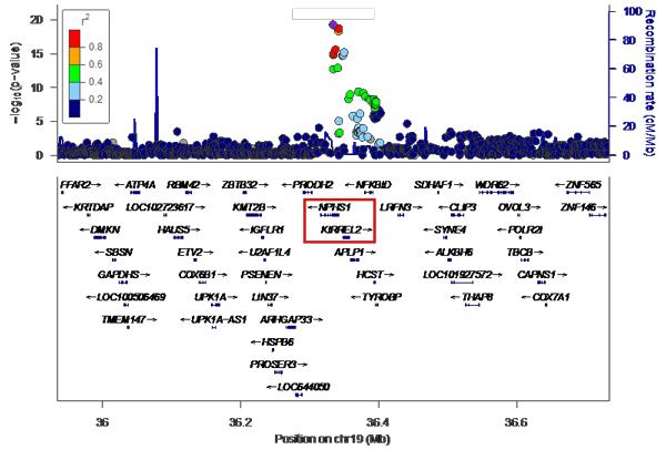 Figure 2: Enlarged Image 