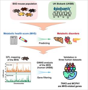 A graphical abstract of the research methodology