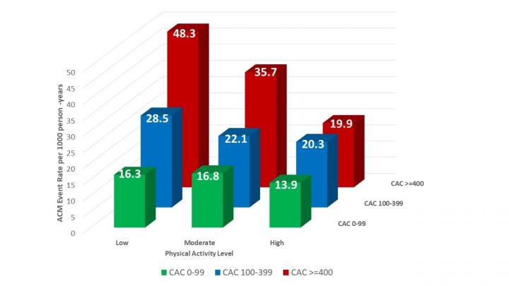 Atherosclerosis Screening Plus Physical Activity Assessment