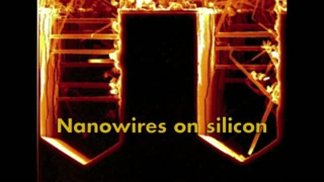 Nanowires Grown on Silicon