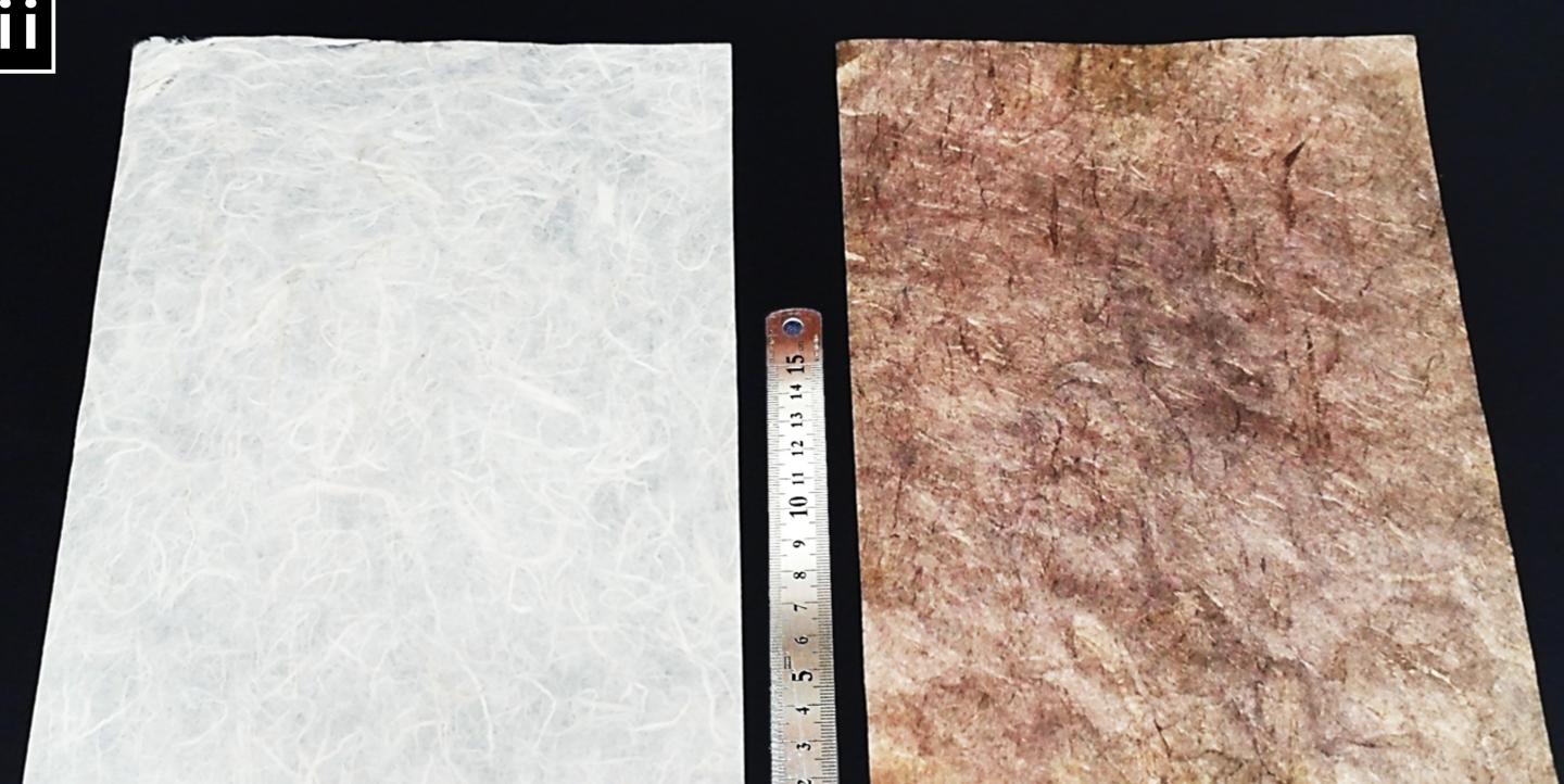 Plain Paper versus Metallized Paper