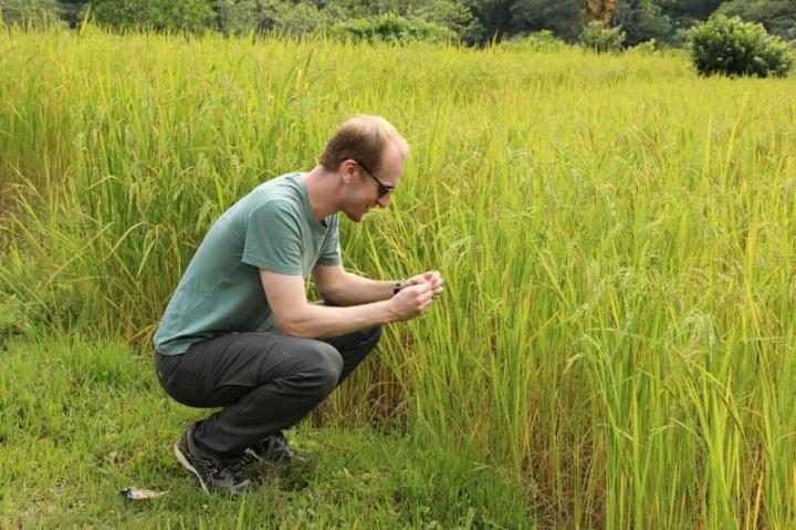 Securing the global food supply chain