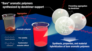 “Bare” aromatic polymers synthesized by dendrimer-support