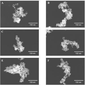 Shaped nanoparticles created by the novel method described in the study