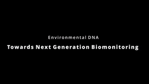 Environmental DNA (eDNA) sampling and analysis from aquatic ecosystems