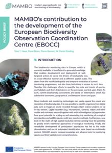 MAMBO's contribution to the development of the European Biodiversity Observation Coordination Centre (EBOCC)