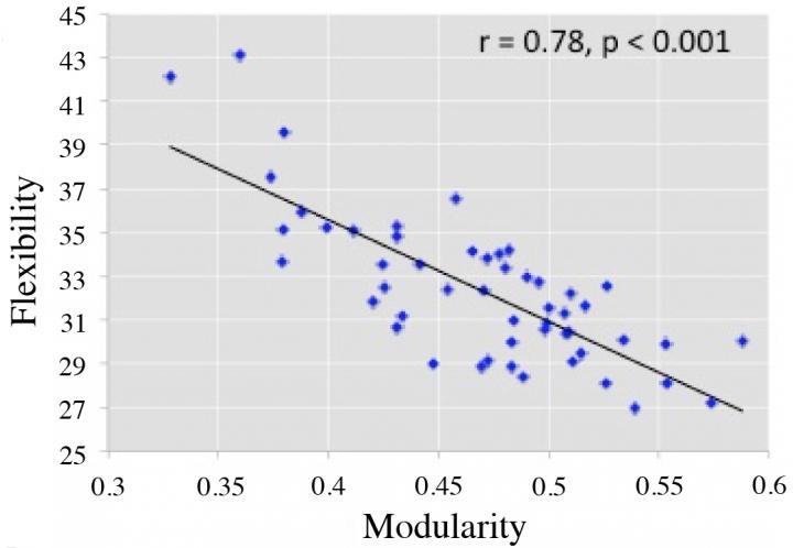 fMRI Test Graph