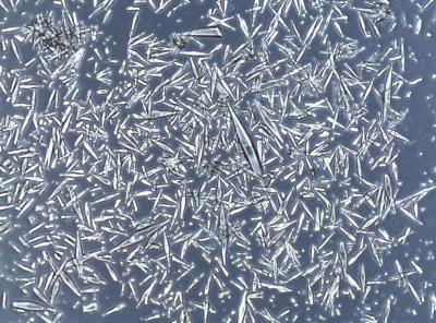 Charcot-Leyden Crystals