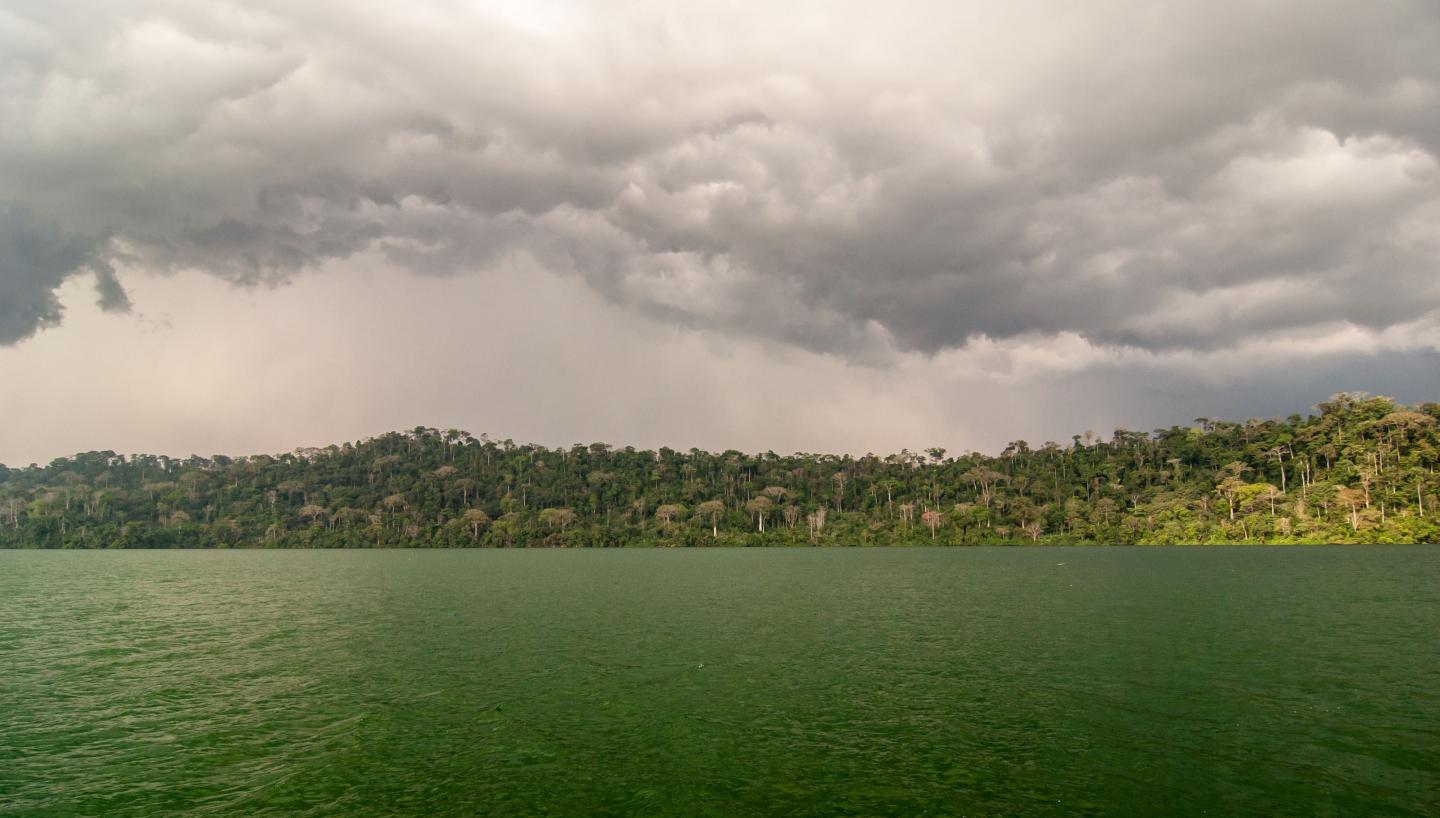 Lake Barombi, Cameroon