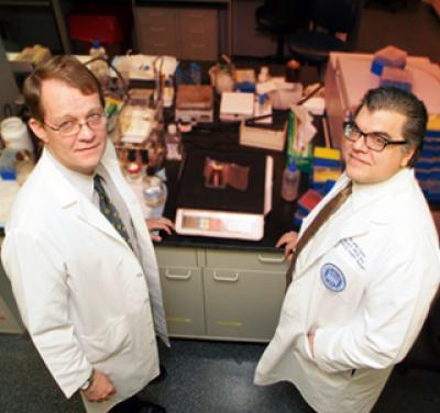 Women'sChin, Abdomen are Good Indicators of Excessive Hair Growth