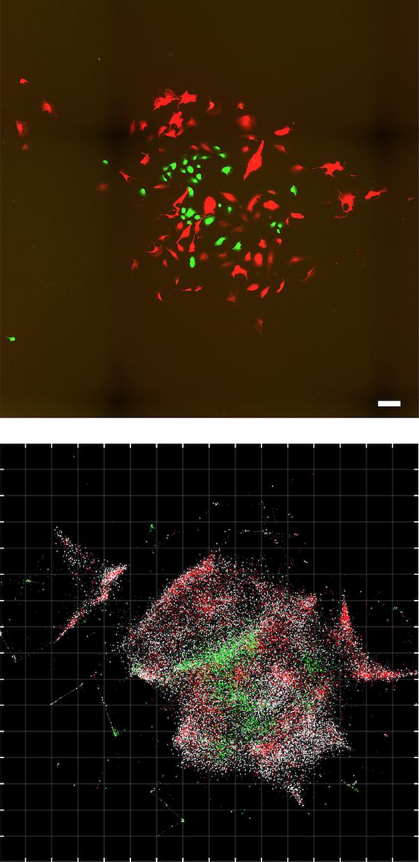 Microscopy Comparison