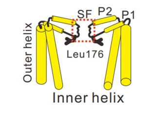 Figure1.