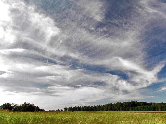 cirrus clouds