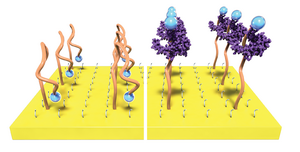 Aptamers