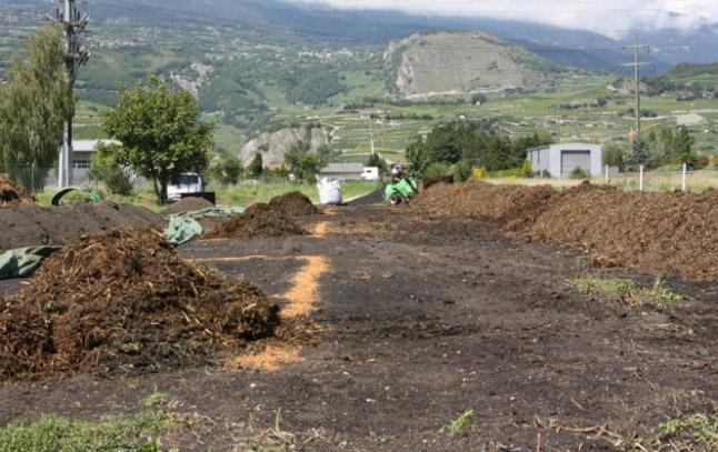 Biochar Field Experiment