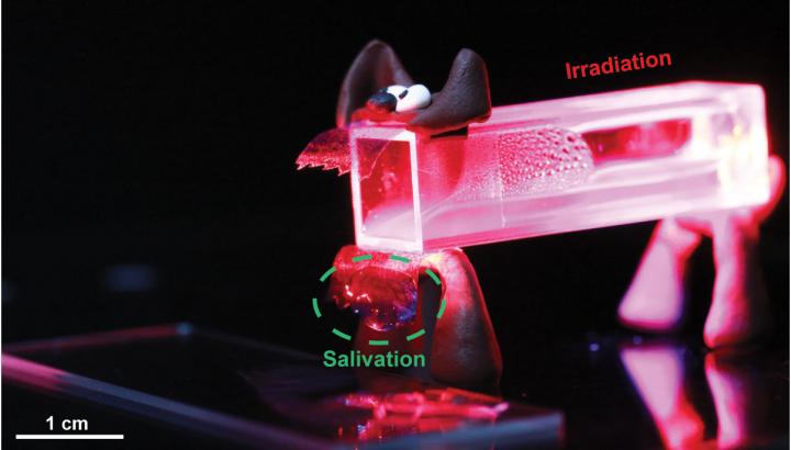 Artificial Pavlov's Dog 2