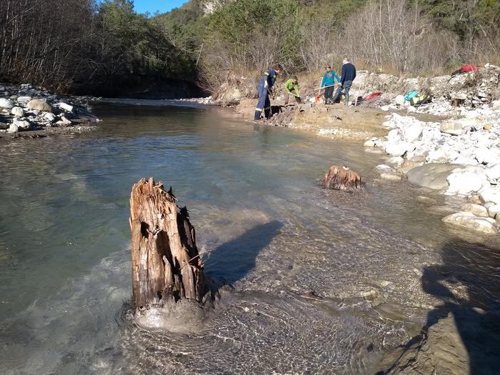 Subfossil trees in the Drouzet river