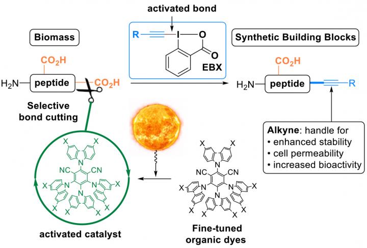 Bridging the Natural and the Synthetic World in One Step