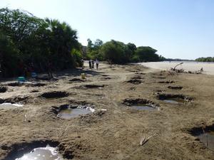 Vivax Waterholes in Turkana, Kenya